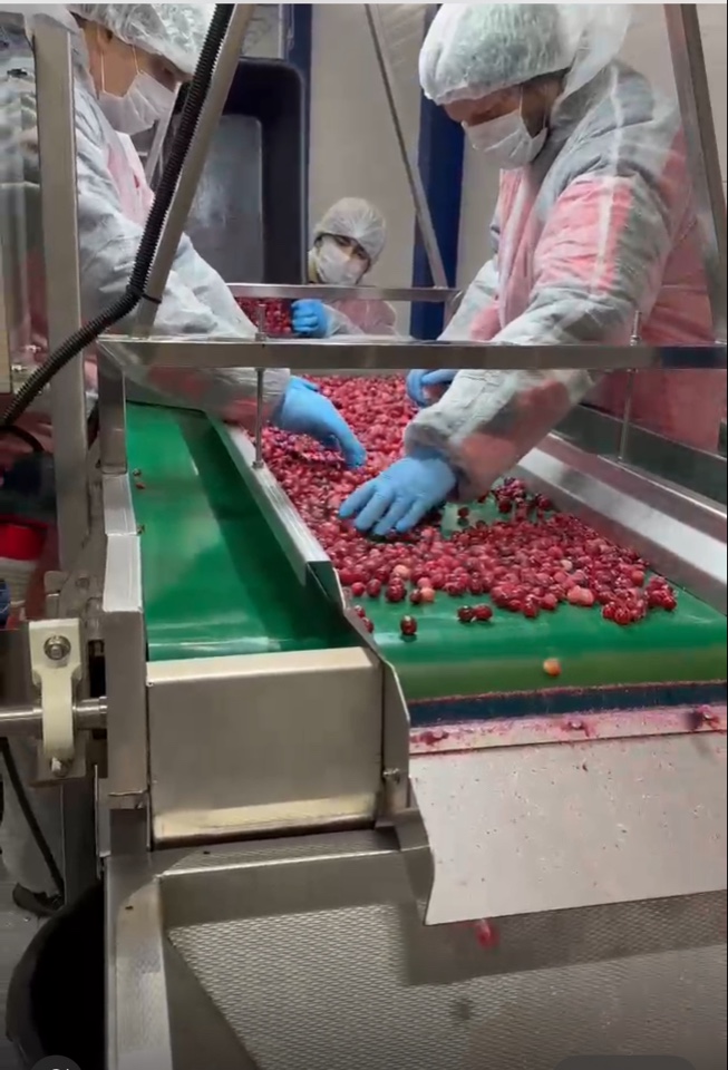 Capacità produttive