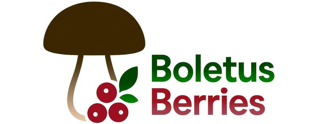Boletus Berries - логотип компании по поставке дикорастущих грибов и ягод