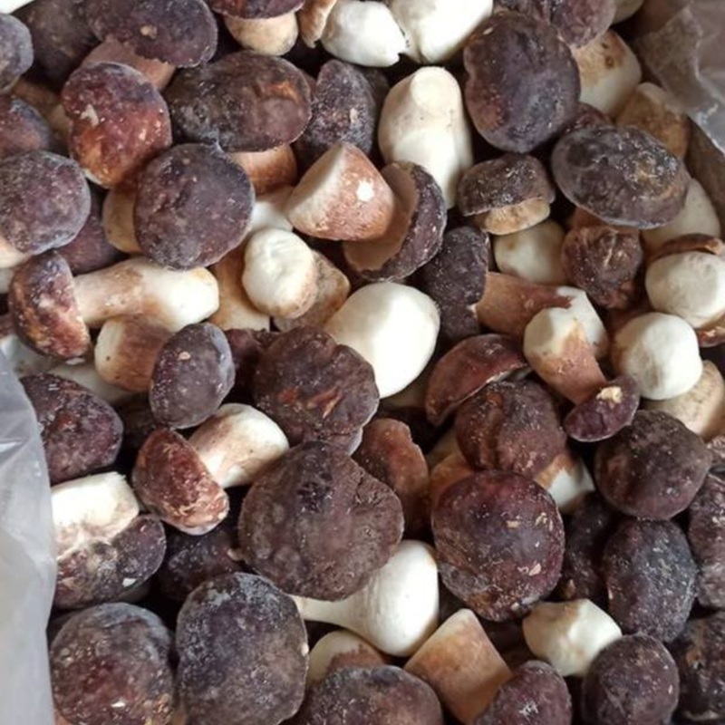 Белый гриб Экстра замороженный - товары для розничных сетей Boletus Berries