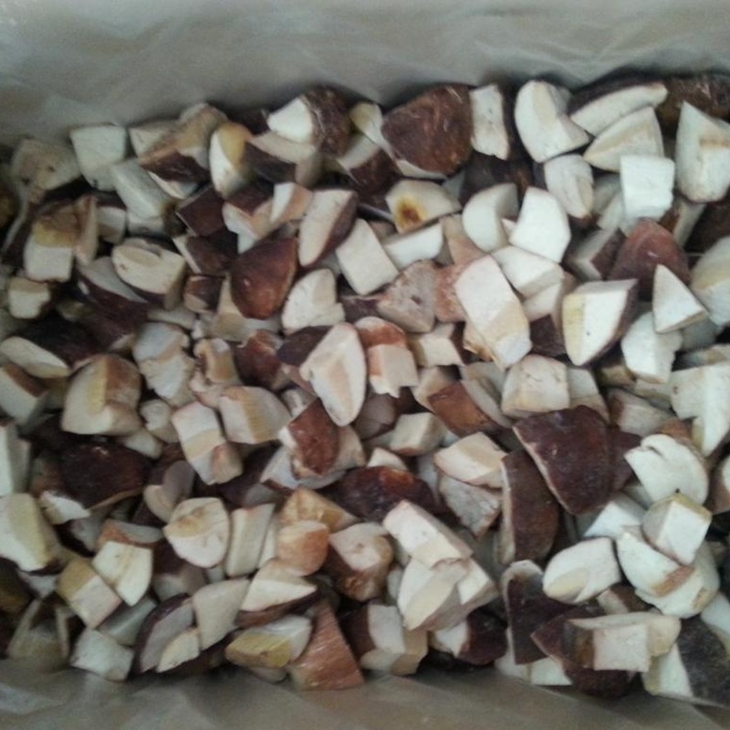 Белый гриб замороженный кубик - оптовые поставки Boletus Berries